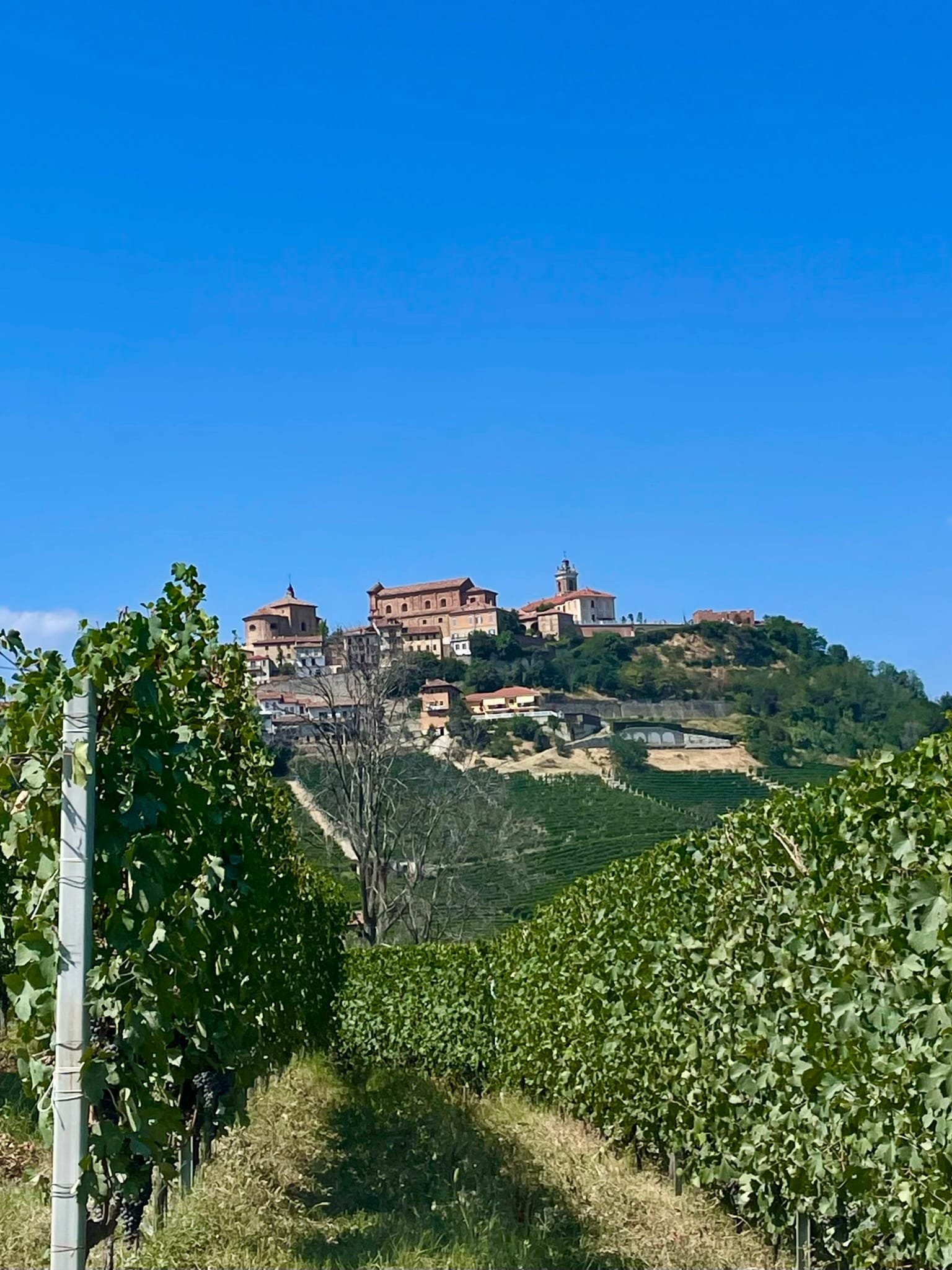 cosa vedere nelle langhe
