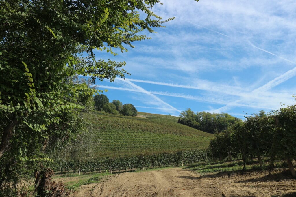 Cosa vedere in due giorni nelle Langhe