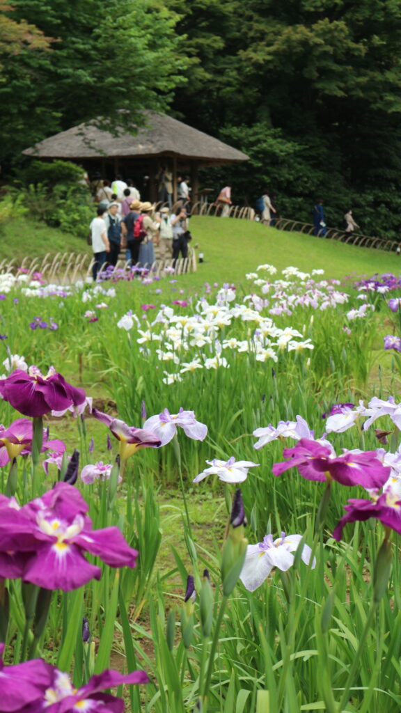 Meiji Jingu Gyoen