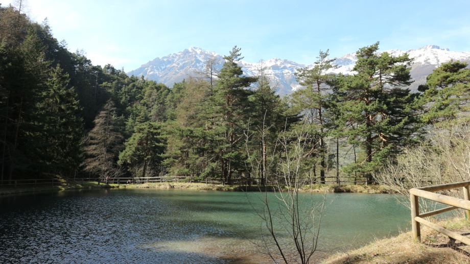 Gran Bosco di Salbertrand: escursione facile da Torino