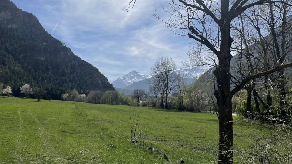 Gran bosco di Salbertrand escursione