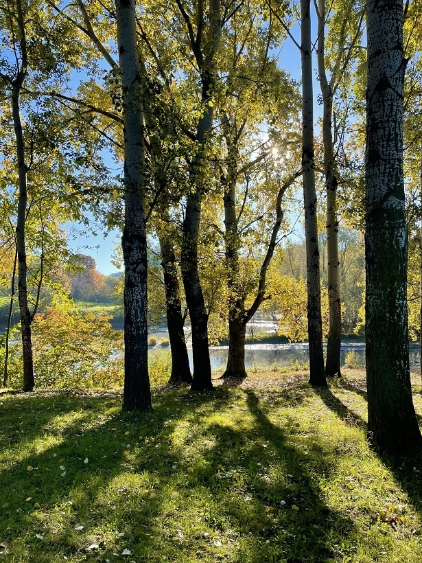 parchi vicino a torino