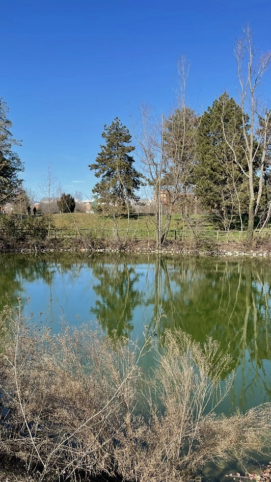 parchi vicino a torino pellerina