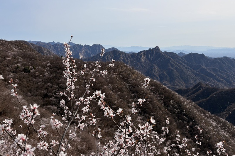cosa vedere a Pechino muraglia cinese